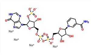 Нікотинамід гіпоксантиндинуклеотидфосфат відновлена ​​тетранатрієва сіль NADPH CAS 42934-87-2