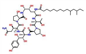 Пневмокандин B0 CAS 135575-42-7